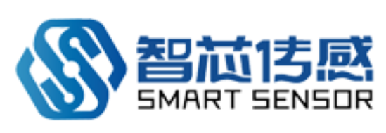 北京智芯传感